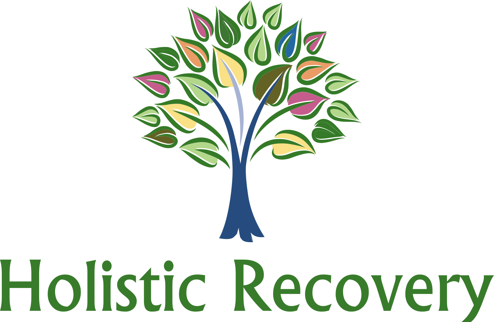 Holistic Recovery Logo