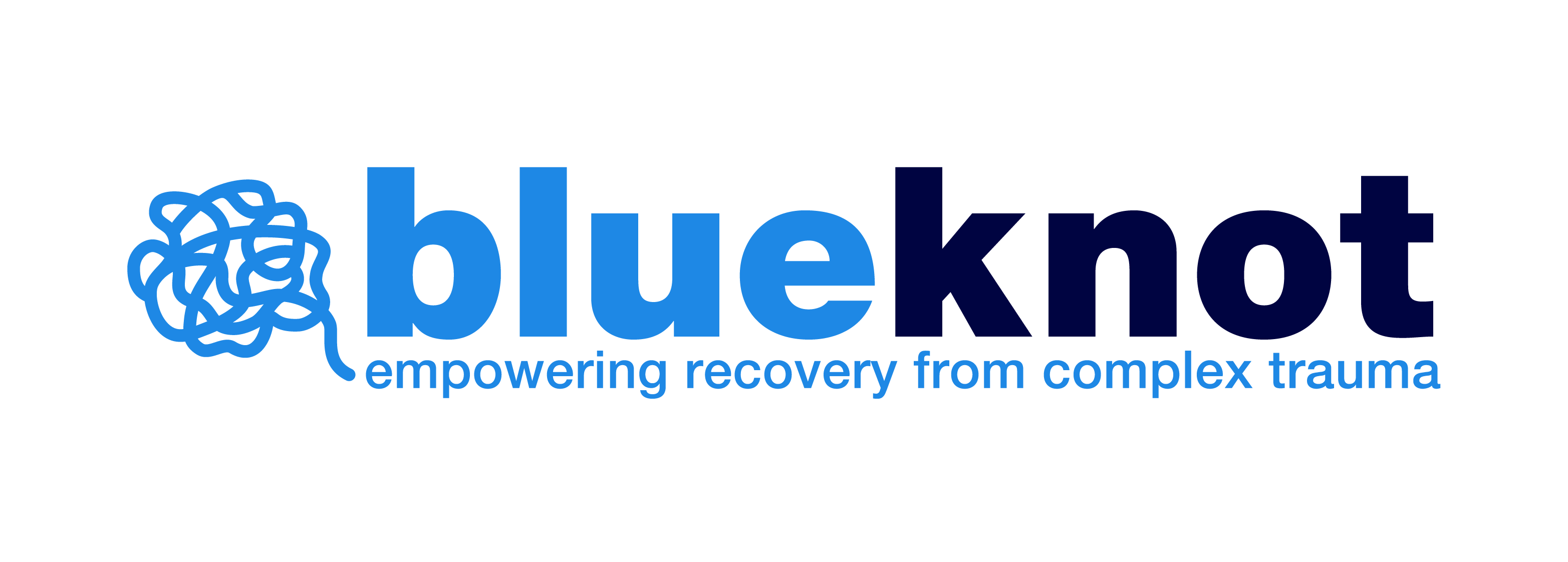 Blue Knot Foundation Logo